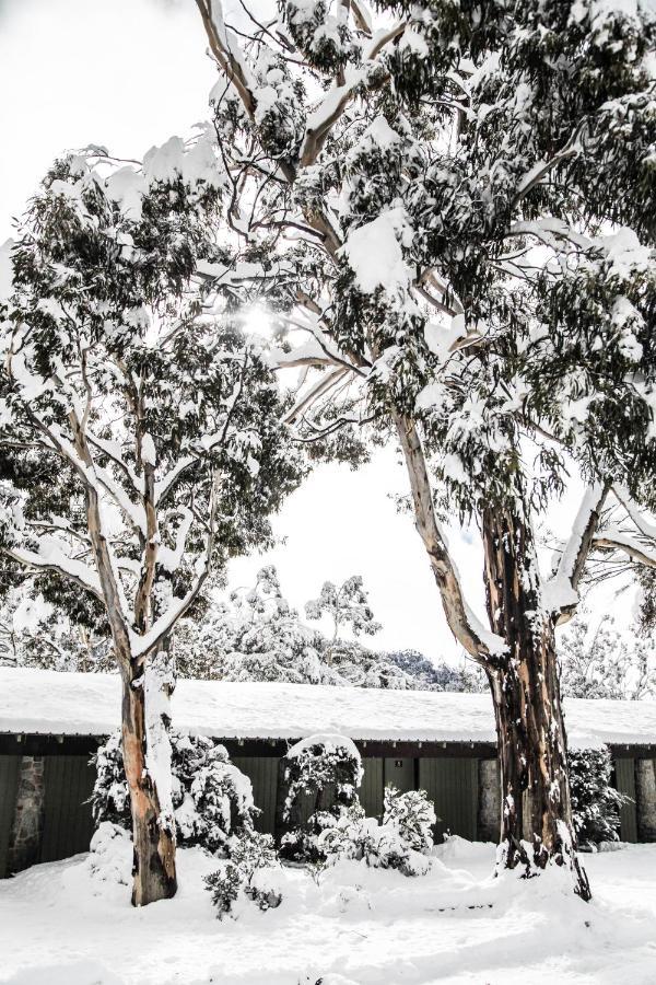 Ski Rider Hotel Perisher Valley Eksteriør bilde